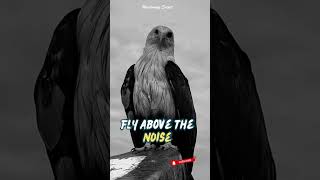 Fly above the Noise eaglemotivation motivation discipline [upl. by Damien]