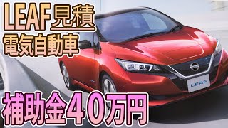 【日産リーフ】電気自動車！見積もり行ってきた！ [upl. by Rhodes]