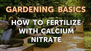 How to Fertilize With Calcium Nitrate [upl. by Yesor221]