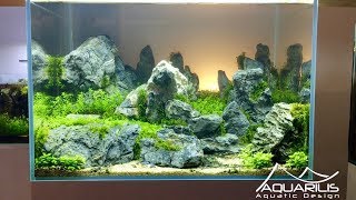 Aquascape quotSunsetquot  Décor daquarium par Laurent Garcia Aquarilis [upl. by Landa158]