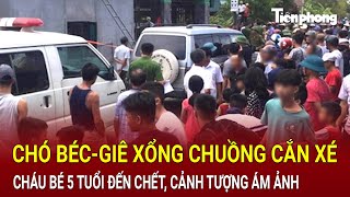 Bản tin thời sự Chó bécgiê xổng chuồng cắn xé đến chết cháu bé 5 tuổi cảnh tượng ám ảnh [upl. by Lladnyk]