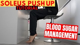 Soleus Push Up Tutorial For Beginners 5 Variations Included [upl. by Eiffe]