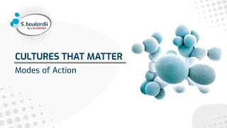 S boulardii mechanisms of action [upl. by Lewiss]