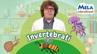 Invertebrati e insetti  Renato lo scienziato Educational MelaEducational [upl. by Forrer262]