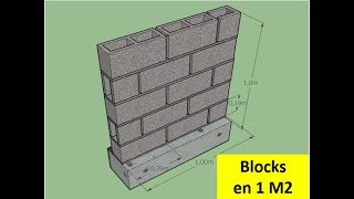 Cuantos BLOQUES o Blocks entran en UN METRO CUADRADO [upl. by Laemsi476]