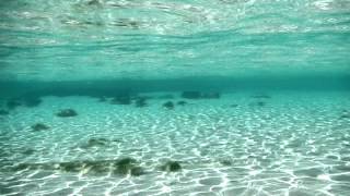 Bahamas  Eleuthera  Snorkeling [upl. by Gilligan]