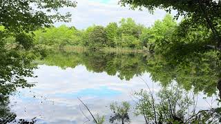 Higbee Beach Wildlife Management Area [upl. by Sidell]