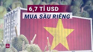 Bí quyết nào giúp sầu riêng Việt Nam ngày càng quotghi điểmquot tại thị trường Trung Quốc  VTC Now [upl. by Tully]