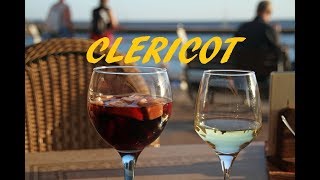 🍷Como hacer clerico o clericot argentino🍷 [upl. by Takeshi]