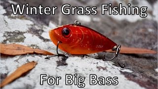 Winter Grass Fishing with Lipless Crankbaits [upl. by Urbain]