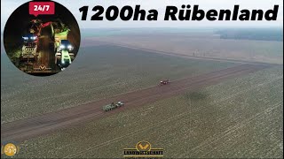 Das letzte Rüben Feld von 1200ha Rübenland LU Schmiedt Company bei der 247 Rüben Kampagne Rüben 23 [upl. by Onibla]