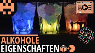 Alkohole Eigenschaften│Chemie Lernvideo│Learning Level Up [upl. by Acinod]