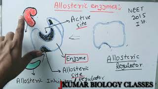 ALLOSTERIC ENZYME  ACTIVE SITE  ALLOSTERIC SITE  INHIBITORY SITE  ALLOSTERIC REGULATOR [upl. by Pell]