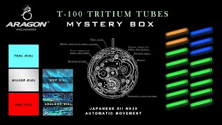 ARAGON® Holiday Giveaway Price Mystery Box [upl. by Attey]