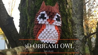 3D Modular Origami Owl [upl. by Valer]