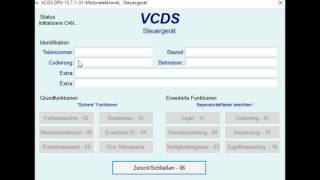 AudiVW auf Steuerkettenlängung Prüfen mit VCDS [upl. by Anni]