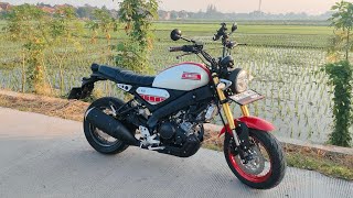 Yamaha xsr 155 [upl. by Ellerrehc]