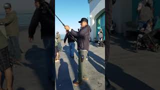 Fishing Thresher Shark at Huntington Beach Pier [upl. by Anorahs]