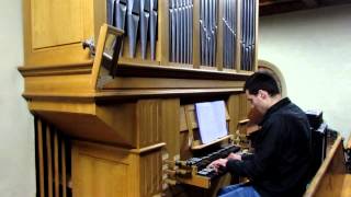 Zelda Ocarina of Time Ganons Tower theme on pipe organ [upl. by Jessi]