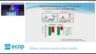 Prof Siri Leknes on how opioids shape our feeling correcting understanding 2392024 [upl. by Tiebold446]