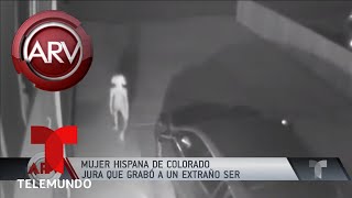 Mujer hispana asegura que grabó a un extraterrestre  Al Rojo Vivo  Telemundo [upl. by Amari]