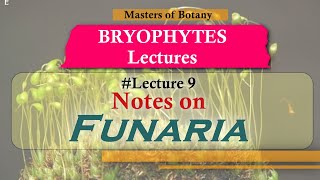 Lecture 9  Funaria Life Cycle Important Bryophytes  Bryophyta Lecture Notes [upl. by Anafetse]