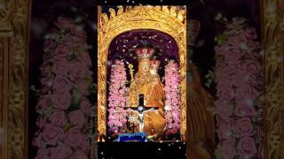 Shrine Basilica  Vailankanni shorts youtubeshorts vailankanni velankanni video youtube yt [upl. by Wallach]