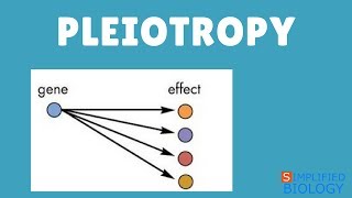 PLEIOTROPY for NEET AIIMS AIPMT MCAT JIPMER PREMED [upl. by Medardas]