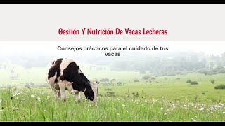 Desplazamiento de Abomaso en Vacas Lecheras Causas Síntomas y Soluciones [upl. by Tacita]