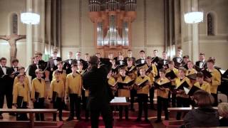 Püha von Urmas Sisask – Göttinger Knabenchor [upl. by Fonz]