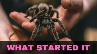 Two Experiences That Helped Me Become A Tarantula Keeper [upl. by Kiele852]