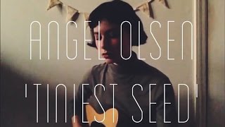 Angel Olsen  Tiniest Seed cover [upl. by Lubeck]