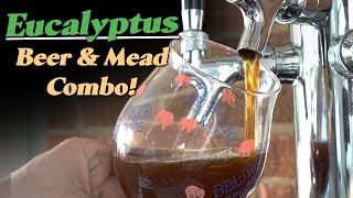 My Experimental Eucalyptus Honey amp Dark Malt BeerMead Combo [upl. by Nordna]