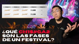 ¿Qué son las fases de un festival 🤔 [upl. by Urion196]