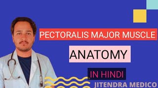 Pectoralis Major Muscle anatomy in hindi  BY CHARSI  origin  insertion [upl. by Eachelle]