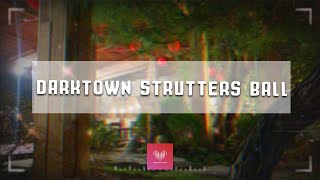 📞 Darktown Strutters Ball  Playlist 133 Jazz Grooves Feel the Vibrant Rhythm [upl. by Terces]