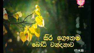 Siri Gauthama Bodhi Wandanawa  සිරි ගෞතම බෝධි වන්දනාව  20160305  Shraddha TV [upl. by Asteria106]