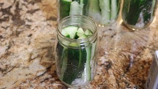 NO SALT DILL PICKLES RECIPE [upl. by Meehaf]