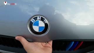 Where to Find Your BMW VIN Number  Quick and Easy Guide [upl. by Arlee160]