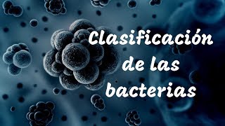 CLASIFICACIÓN DE LAS BACTERIAS [upl. by Aser675]