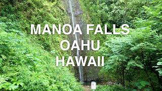 Exploring the Beauty of Manoa Falls Oahu Hawaii [upl. by Anelim]