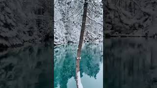 Snowy Day at Blausee Lake [upl. by Odracir]