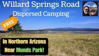 Willard Springs Road  Dispersed Camping Area [upl. by Aveneg895]