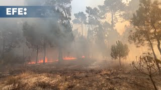 Portugal declara estado de calamidade devido a incêndios e cogita recorrer a fundo da UE [upl. by Noyrb955]