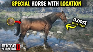 Special Turkoman Horse Location  Red dead redemption 2 [upl. by Gratianna504]