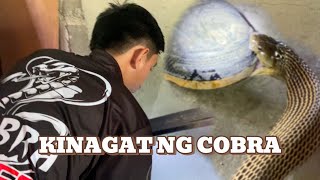 TRESPASSING NA COBRA NANGAGAT PA cobraprince [upl. by Torto993]