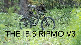 Ripmo than ever before The Ibis Ripmo V3  The Inside Line [upl. by Napra]