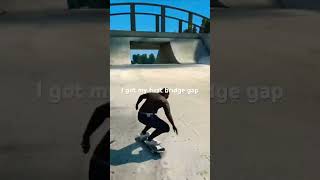 Skate 3 bridge Gap [upl. by Ahsimal]