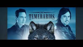 Mix Los Temerarios 2024 [upl. by Brittaney891]