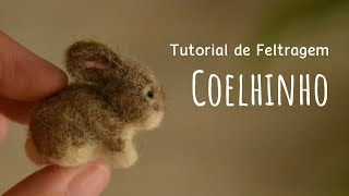 Feltragem com agulha  Coelhinho  Needle Felting  Bunny [upl. by Llain]